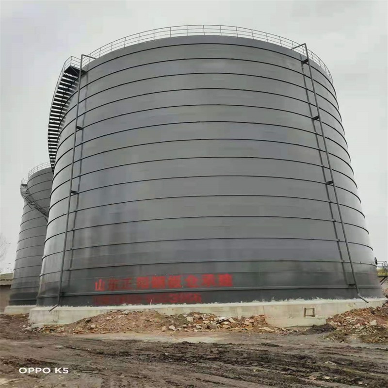 佛罗镇3万吨大型钢板库