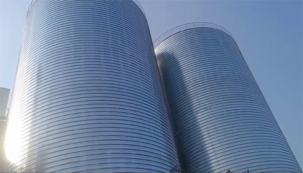 佛罗镇2座混凝土高架卷板仓